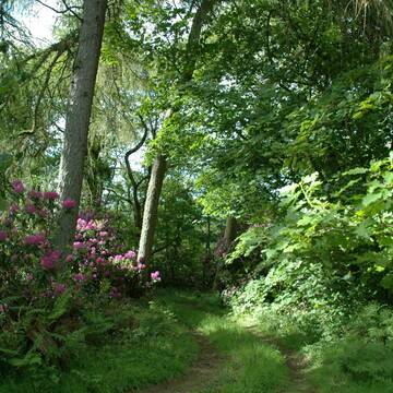 Walks