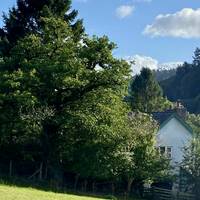 IMG 7651