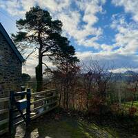 Ty Isa view Jan 26 IMG 7033