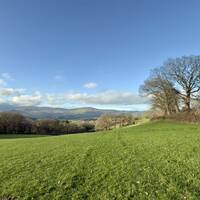 Tyn y Coed view