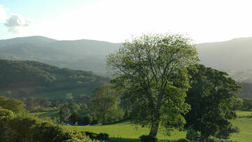 Estate View to the Carneddau